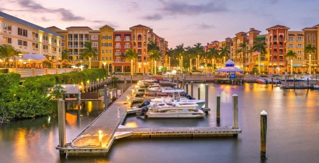 Contact Us 1 Concierge Medicine Tampa, Concierge Doctor In Tampa, Concierge Medical Practices Tampa Bay, South Tampa Doctor, Holistic Family Medicine